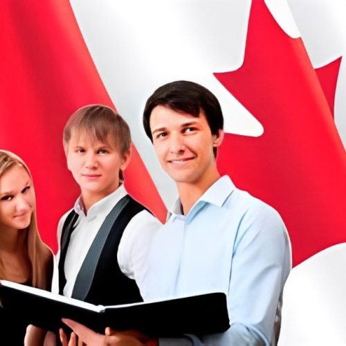 Top In-Demand Programs in Canada for International Students: Ensuring Employment and Pathways to Permanent Residency